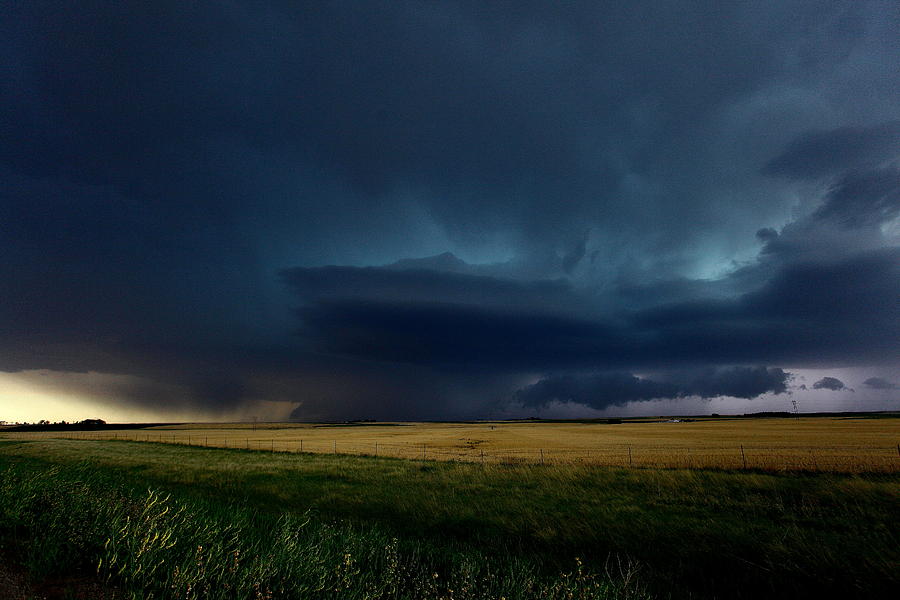 Evil in the field Photograph by Chris Streeks - Fine Art America