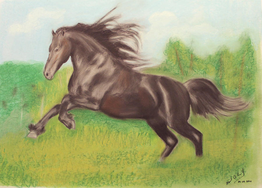 Horse Drawing - Exercise by Miguel Rodriguez