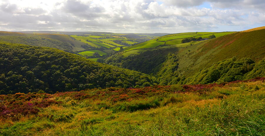Exmoors Rolling Hills Photograph by Carla Parris