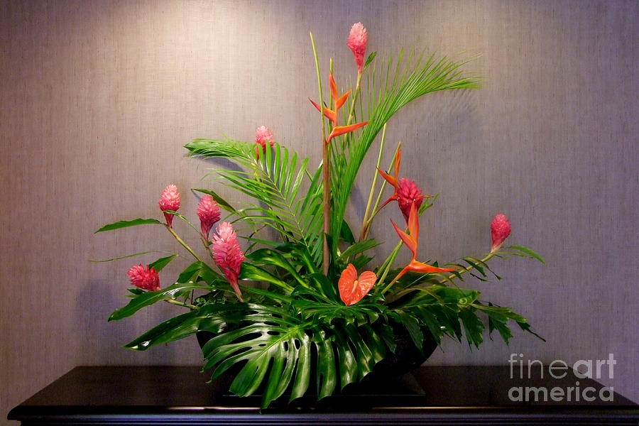 Exotic Arrangement Photograph by Mary Deal