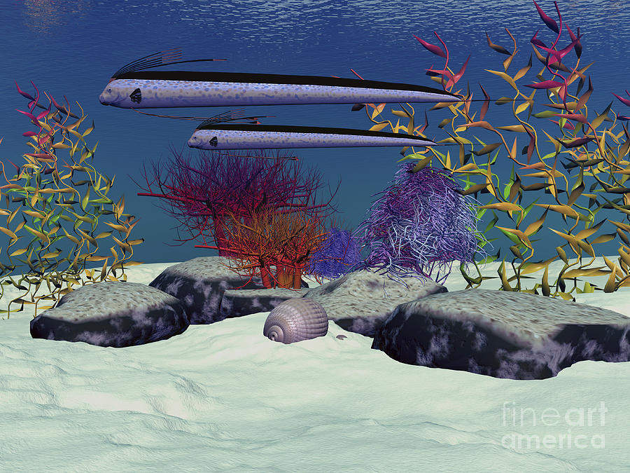 Fantasy Digital Art - Exotic Fish Swim Over A Colorful Reef by Corey Ford