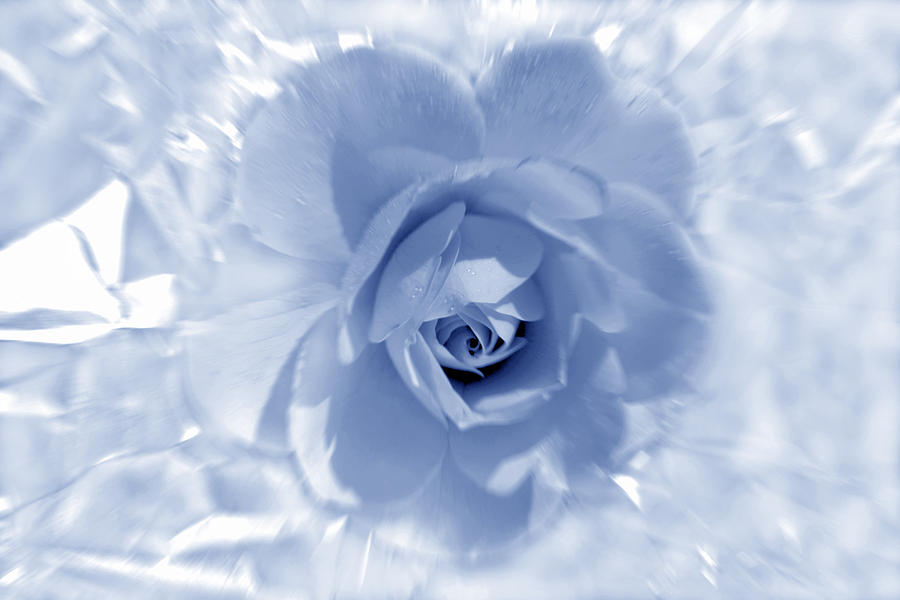 Exquisite Blue Photograph by Terence Davis