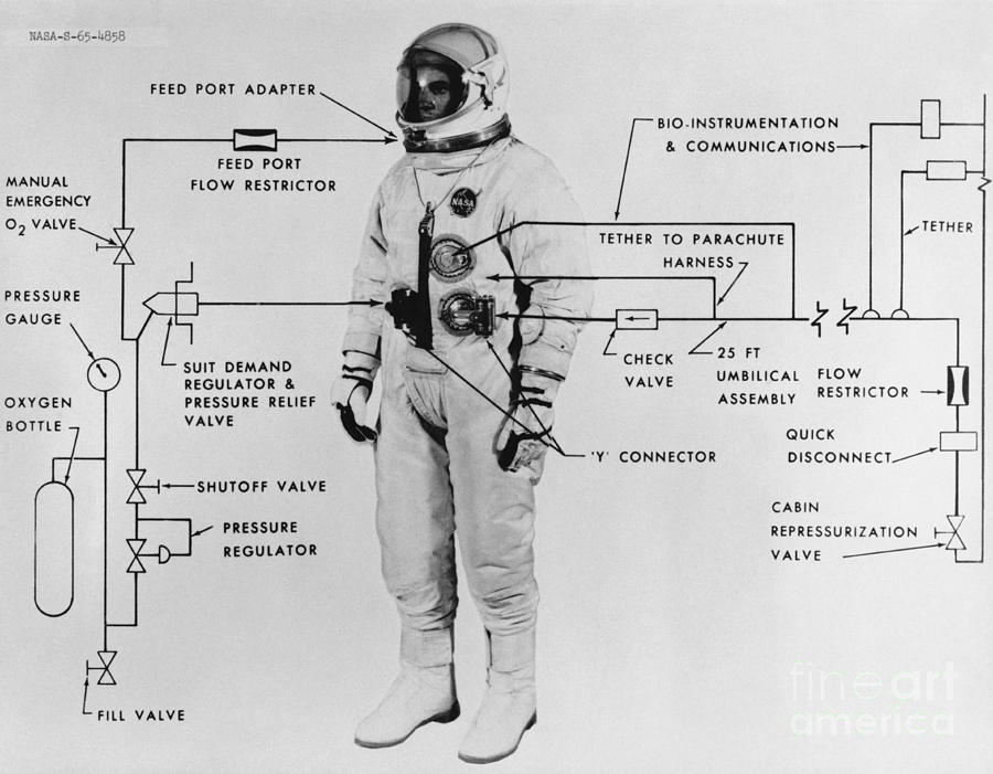 Extravehicular Space Suit, 1965 Photograph by NASA/Science Source