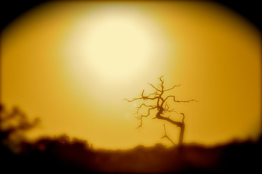 Desert Photograph - Extreme Light by Joe  Burns