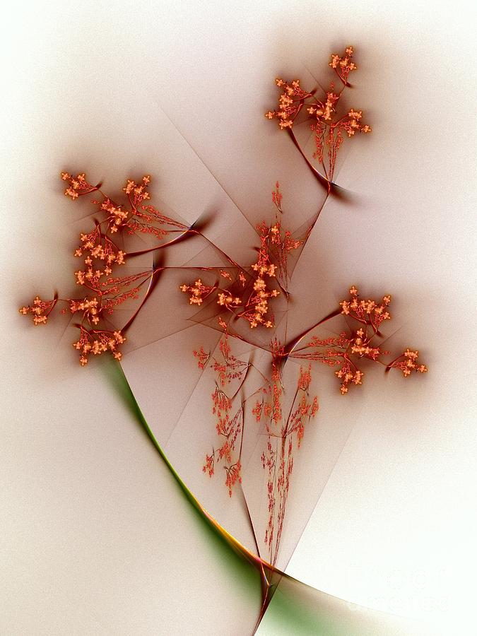 Extruded Flower Digital Art by Klara Acel
