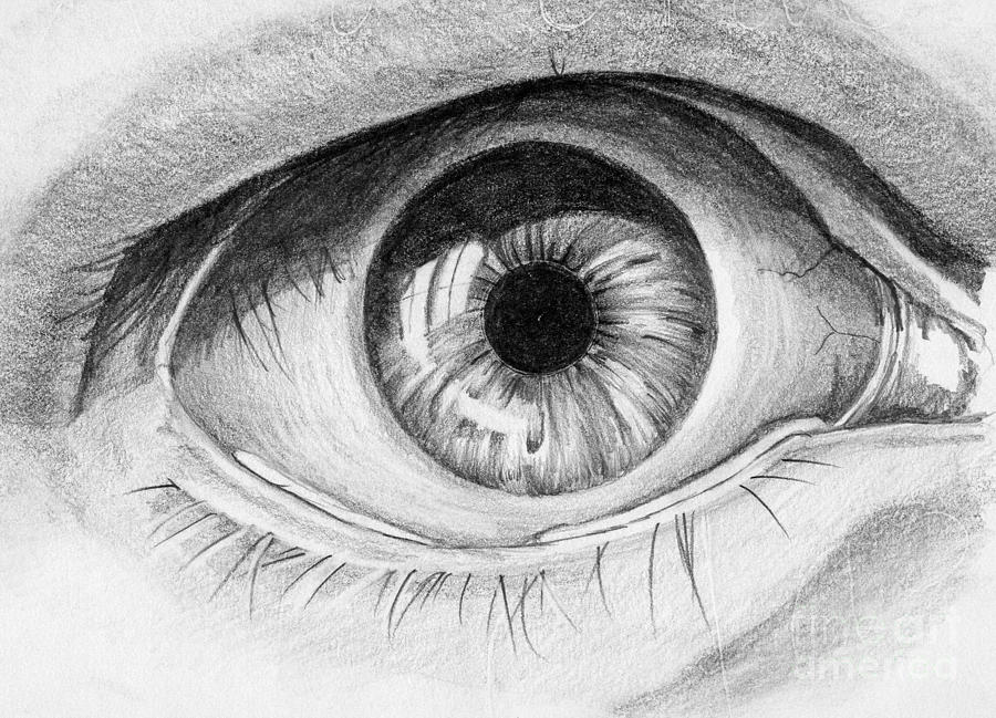 Eye Drawing by Bill Richards