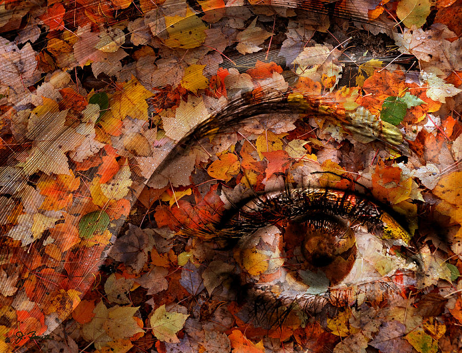 Eye of Autumn Photograph by Joe Bonita
