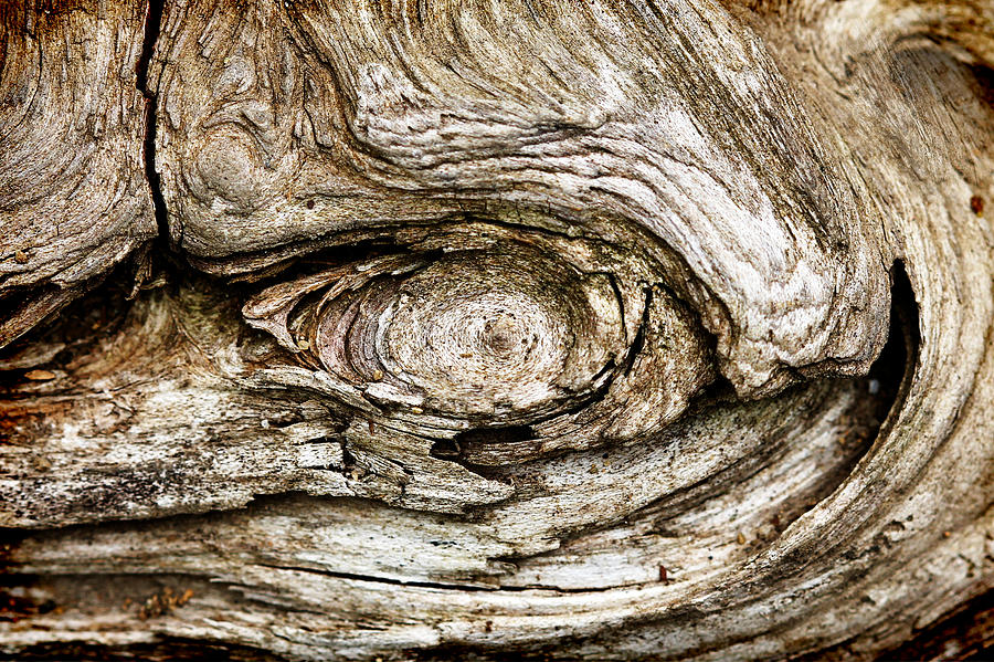Eye Of Mystery Knot In Wood Photograph by Tracie Schiebel
