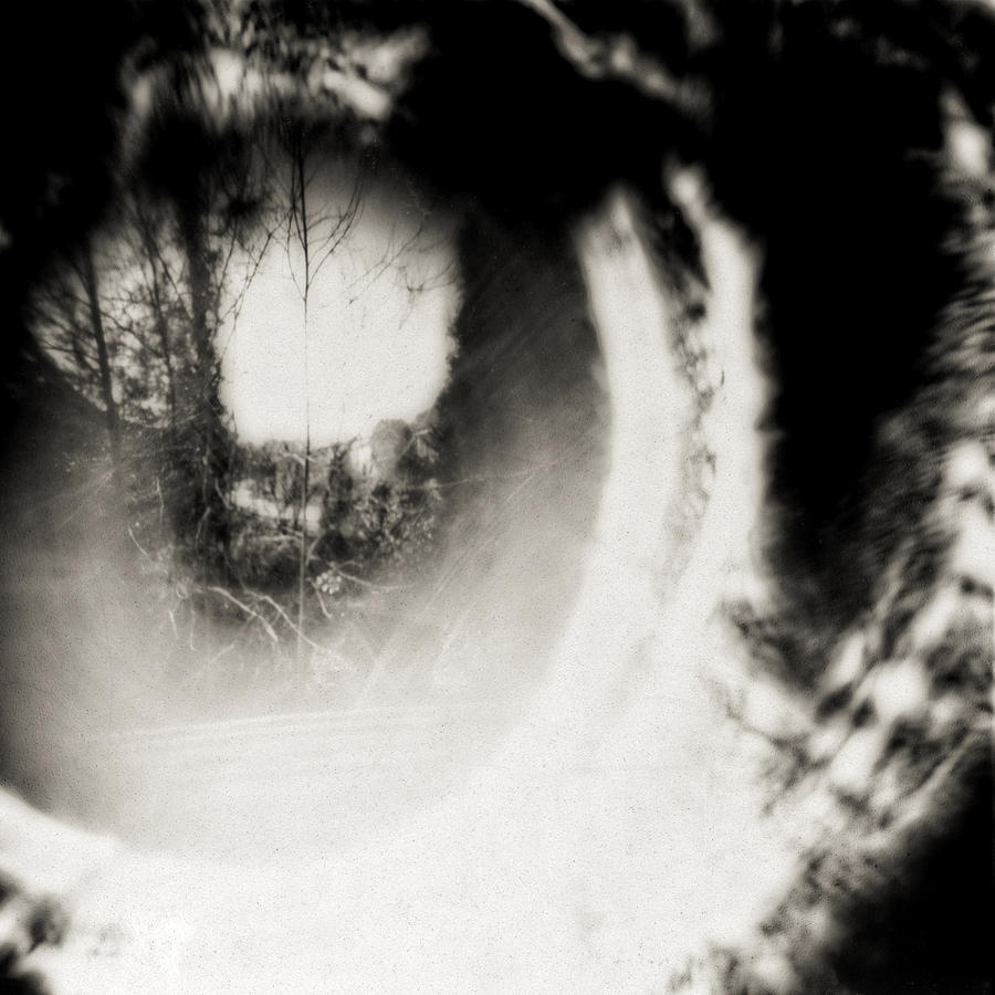 Eye of the Beholder Photograph by Jodi Hersh