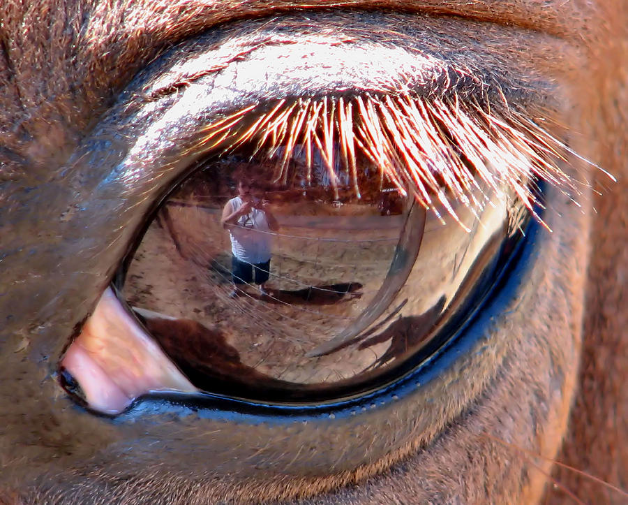 Eye Of The Beholder Photograph by Rory Siegel