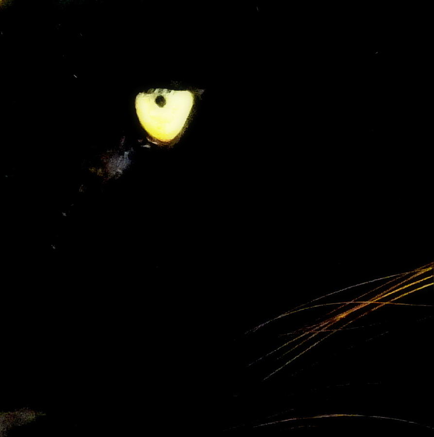 Black Panther Movie Photograph - Eye of the Panther by Karen Wiles