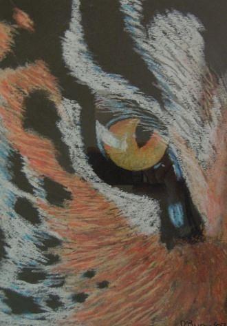 Tiger Pastel - Eye Of The Siberian Tiger by David Byrne