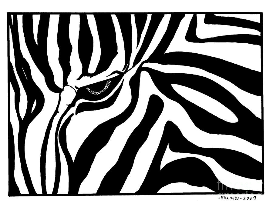 Eye of the Zebra Drawing by Billinda Brandli DeVillez - Fine Art America