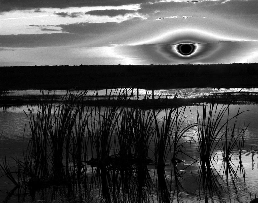 Eye over Everglades Photograph by David Lee Thompson