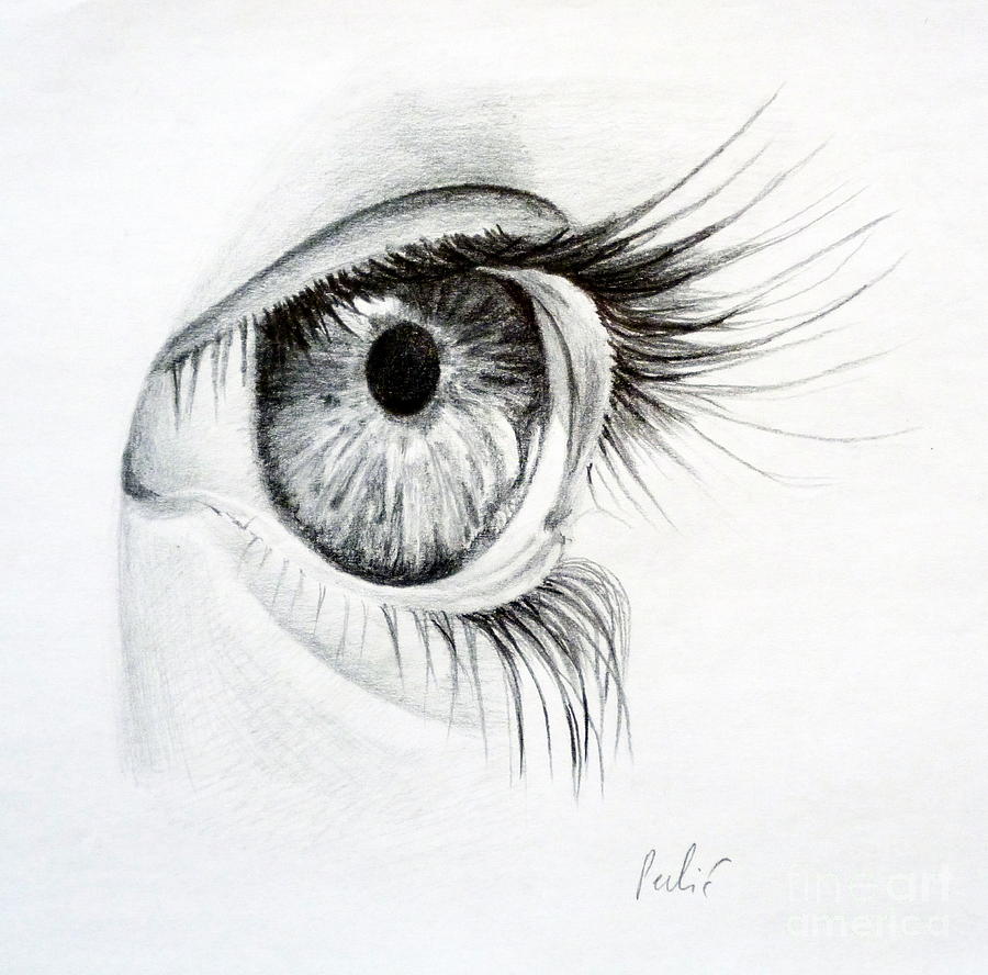 art master classical proportion eye studies