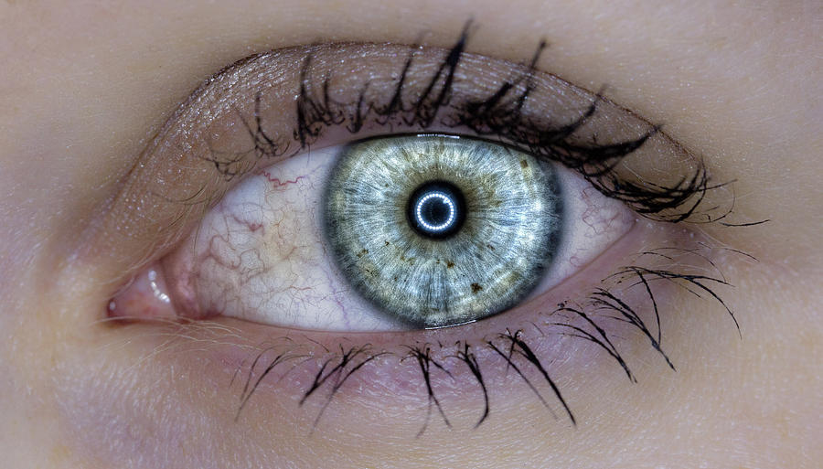 Eyeball Photograph by JP Aube - Pixels