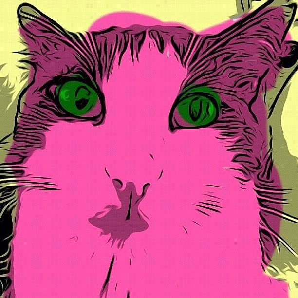 Cool Photograph - Ezra The Cat, Warhol-style #warhol #cat by Michael Witzel