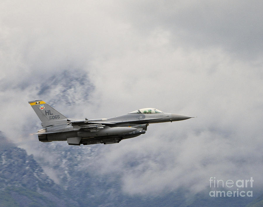 F-16 Fighting Falcon Photograph by Dennis Hammer
