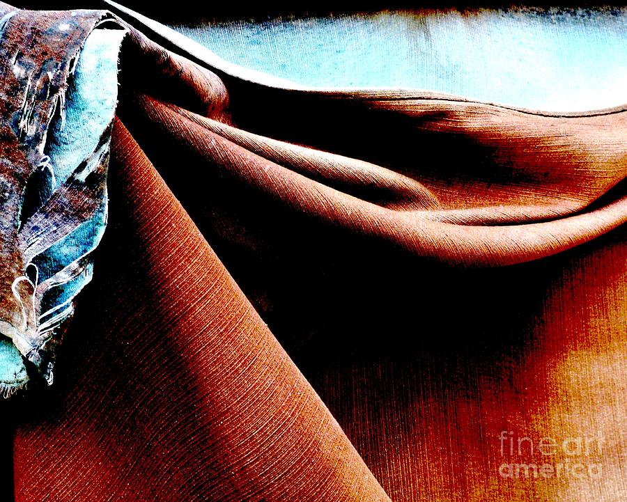 Fabric of Life Photograph by Newel Hunter