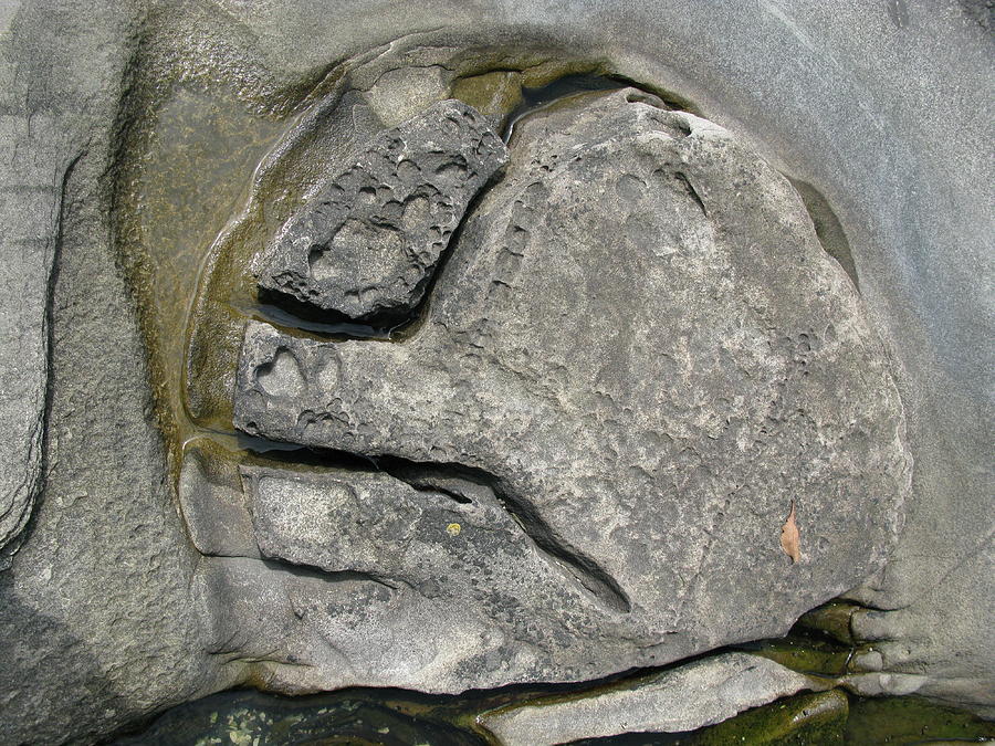 Face in the rock Photograph by Brian Sereda