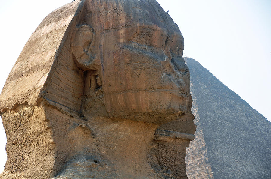 Face of the Sphinx Photograph by Jacqueline Valenzuela Fine Art America