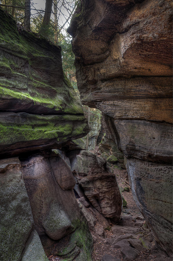Cuyahoga Valley National Park Photograph - Faces by At Lands End Photography