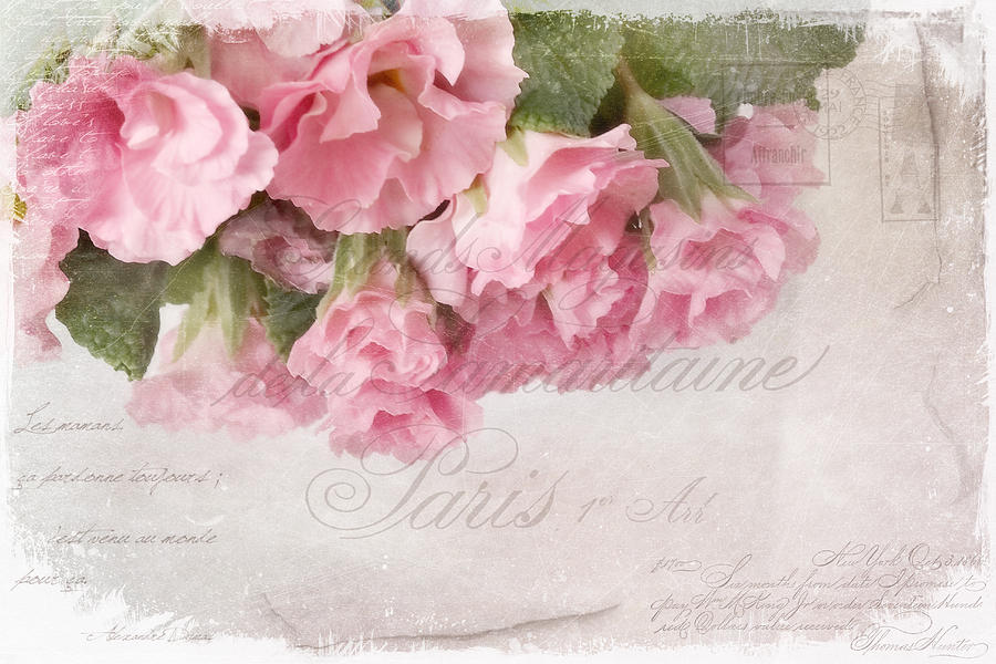 Flower Photograph - Faded Memories  by Sandra Rossouw