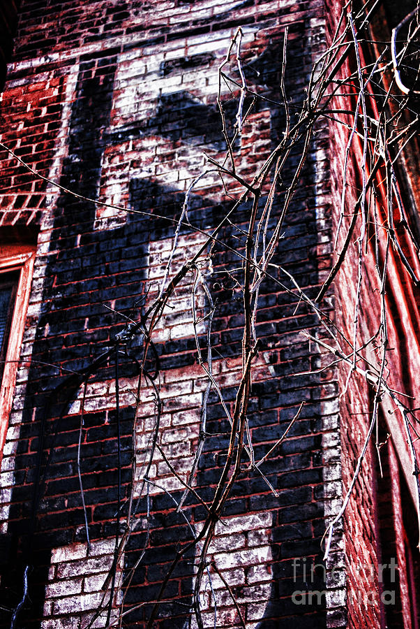 Brick Photograph - Faded Paint And Vines by HD Connelly