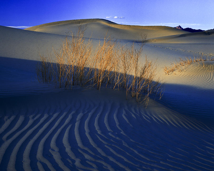 Fading Light Death Valley Photograph