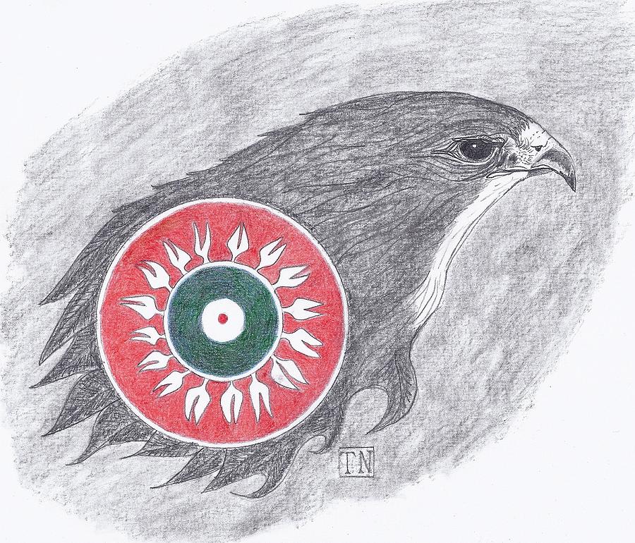 Falcon Drawing - Falcon Spirit with Apache Design by Tony  Nelson