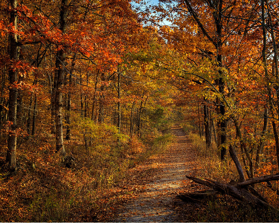 Fall at Center Point Trailhead Photograph by Michael Dougherty