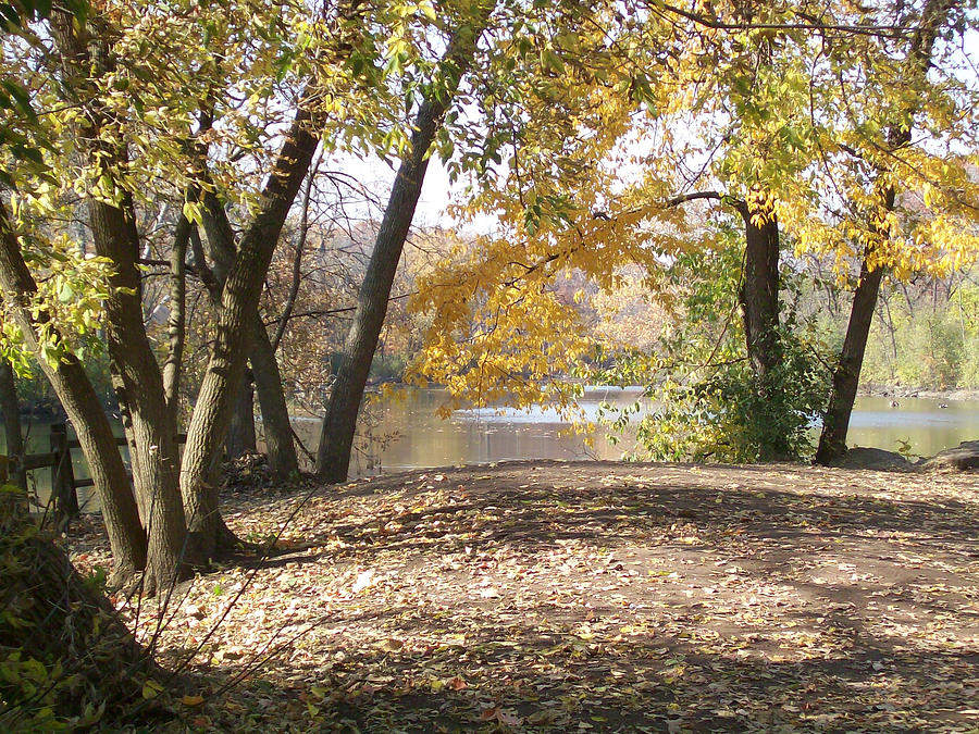 Fall at Graue Mill Photograph by Elizabeth MacKinney - Fine Art America