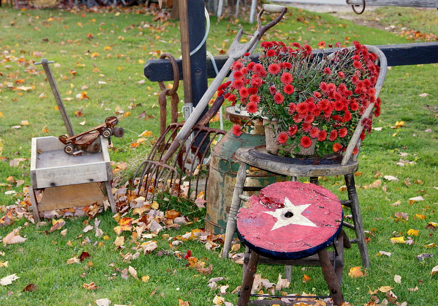 Fall at the Antique Shop Photograph by Lois Lepisto