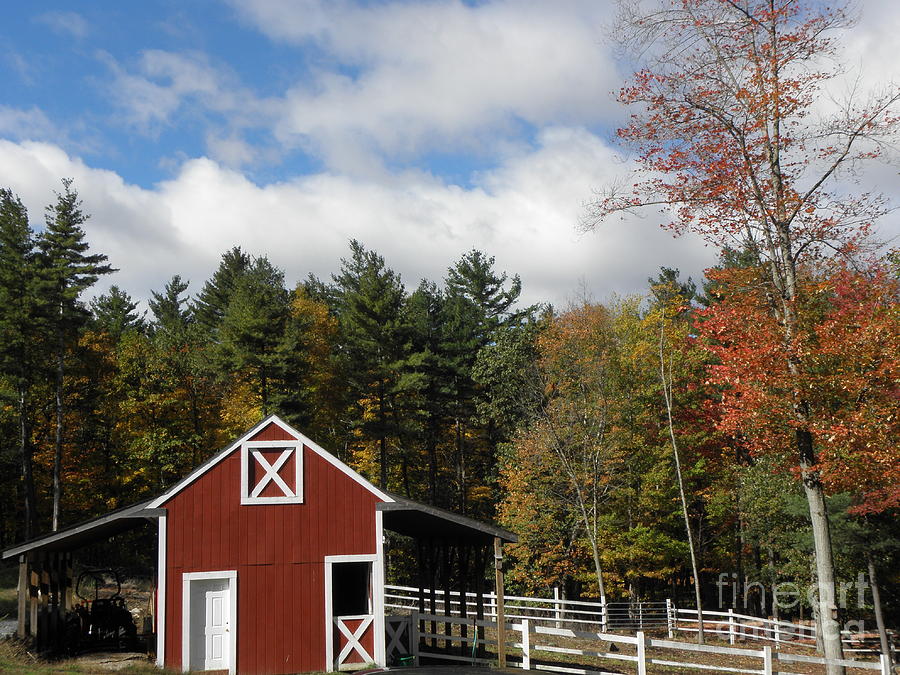 Fall at the barn in New England Photograph by Kim Galluzzo Wozniak