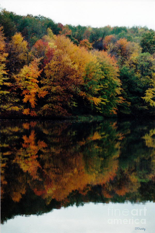 Fall at the Waters Edge Photograph by Susan Stevens Crosby
