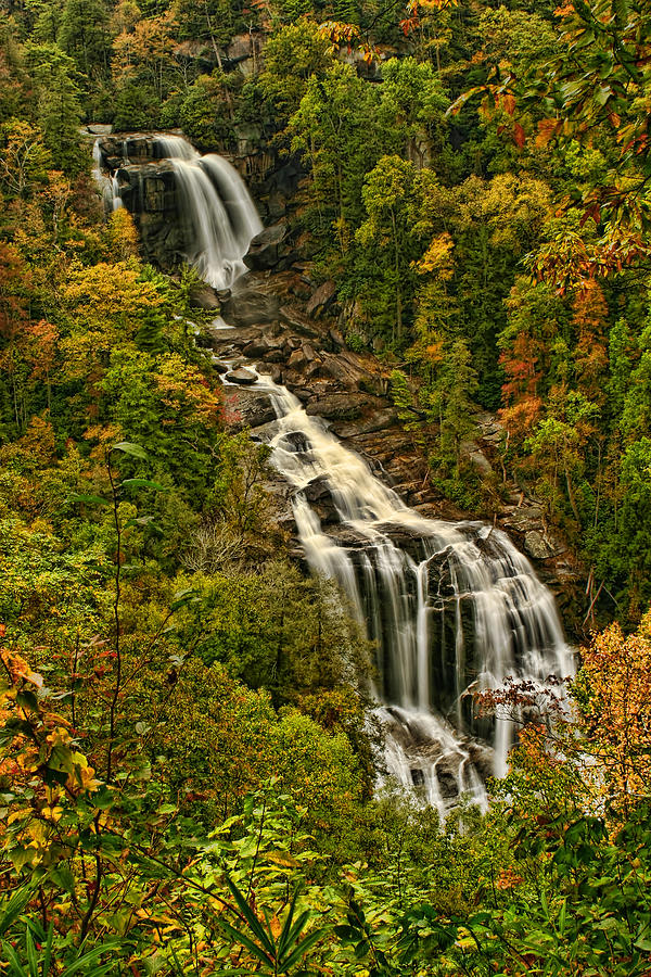 Fall at Whitewater Falls  Photograph by Shari Jardina