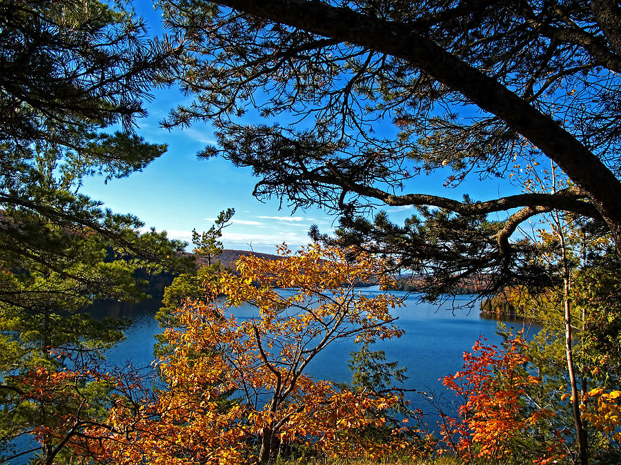 Fall Autumn Colors - Meech Lake under Blue Skies framed by Pine ...