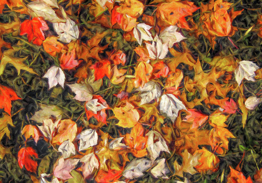 Fall Autumn Leaves on Water Digital Art by Randy Steele