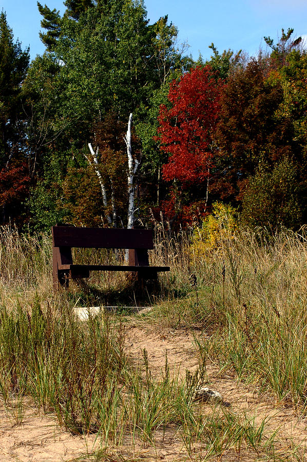 Fall Bench Dreams Photograph
