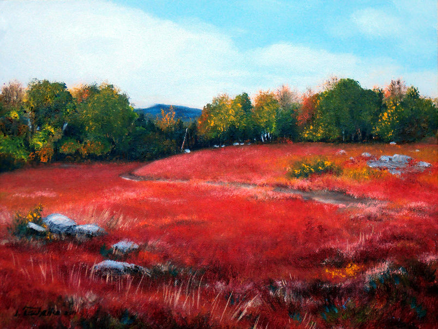 Fall Blueberry Field 2011 Painting by Laura Tasheiko