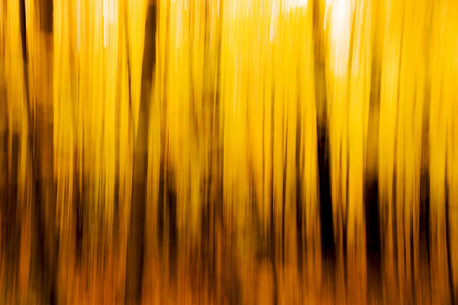 Fall blur Photograph by Robert Clifford