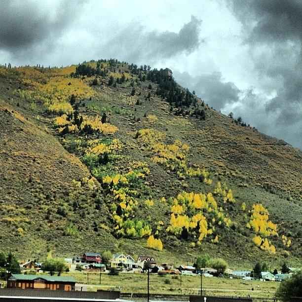 Tree Photograph - #fall #clouds And #trees In #minturn by Brett Borgard