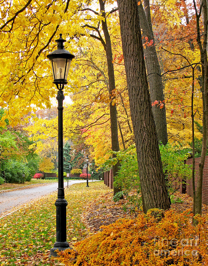 Fall Color and Lamppost Photograph by Jack Schultz