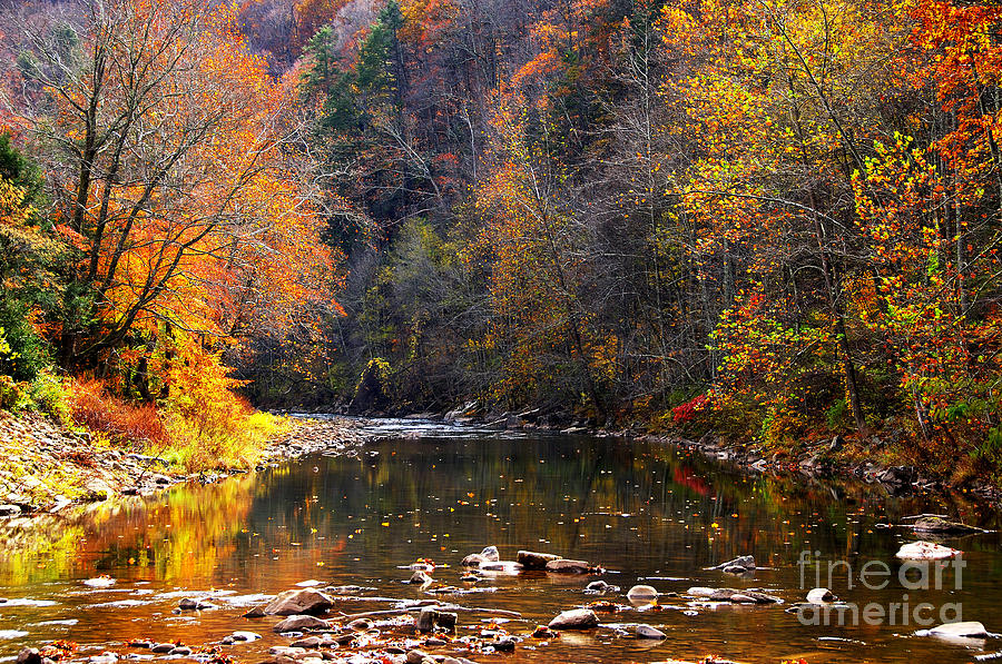 Fall Color Elk River by Thomas R Fletcher