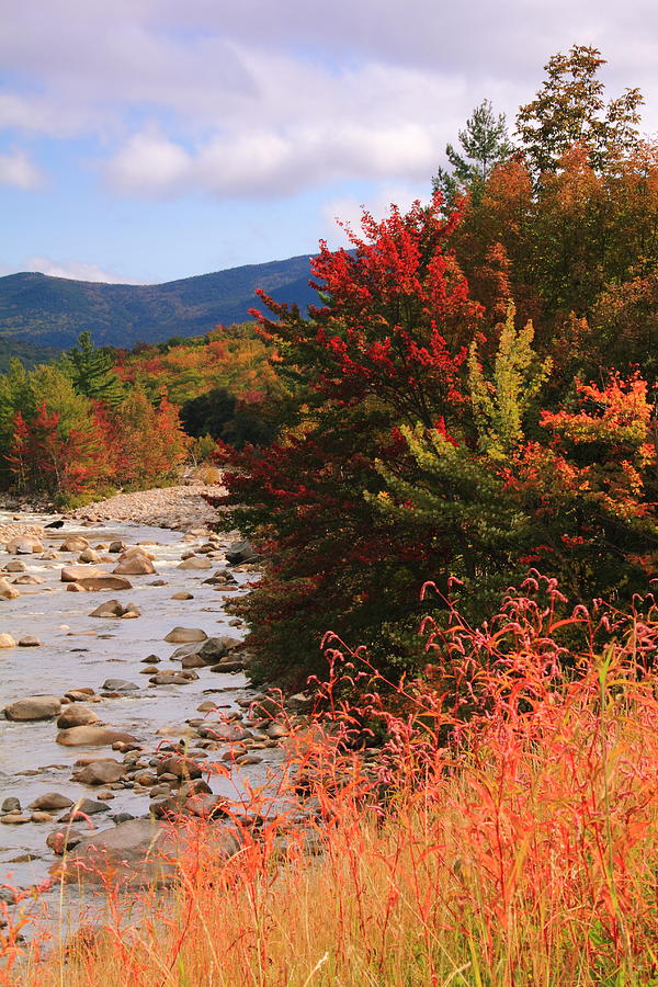 Fall Color in the White Mountains Photograph by Roupen Baker