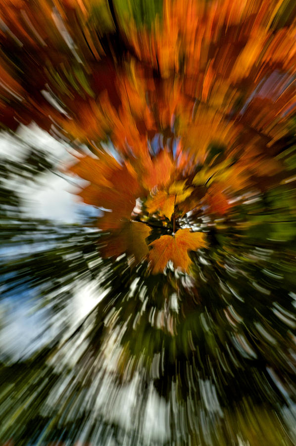 Fall color zoom Photograph by Prince Andre Faubert