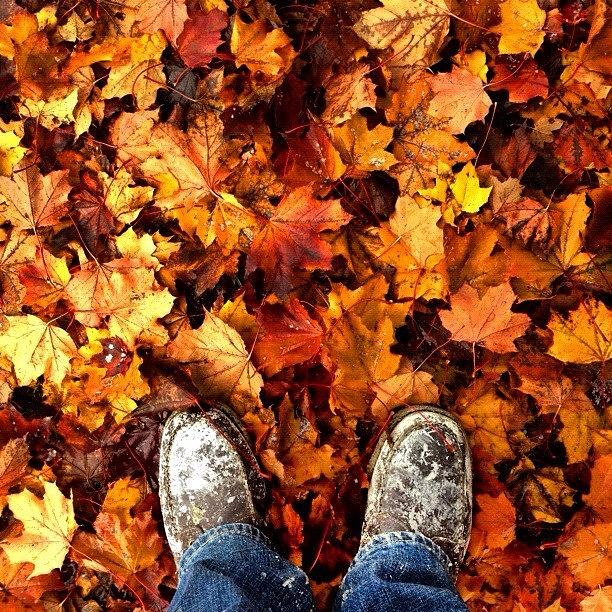 Boot Photograph - Fall Colors by Adam Lawrence