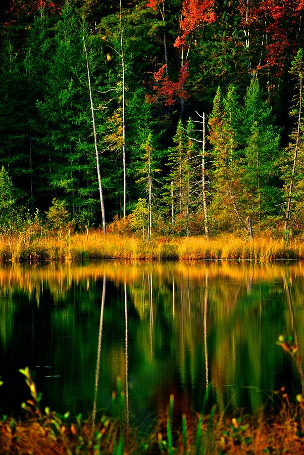 Fall Colors and Reflections Photograph by Prince Andre Faubert