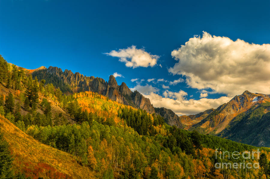 Fall Colors at the Dallas Divide Photograph by Harry Strharsky