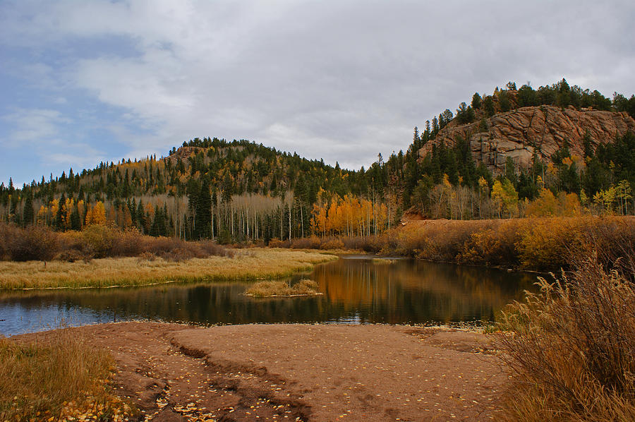 Fall Colors Colorado Photograph by Ernest Echols